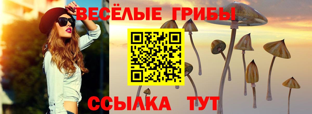 Псилоцибиновые грибы GOLDEN TEACHER  наркошоп  Пермь  Вход с VPN 