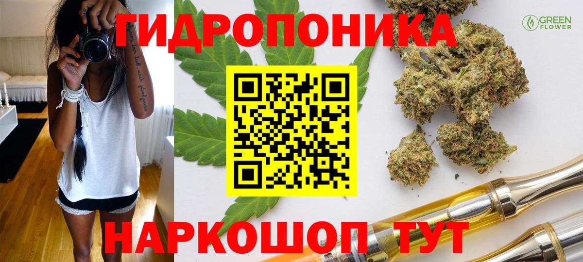 Бошки марихуана план Пермь